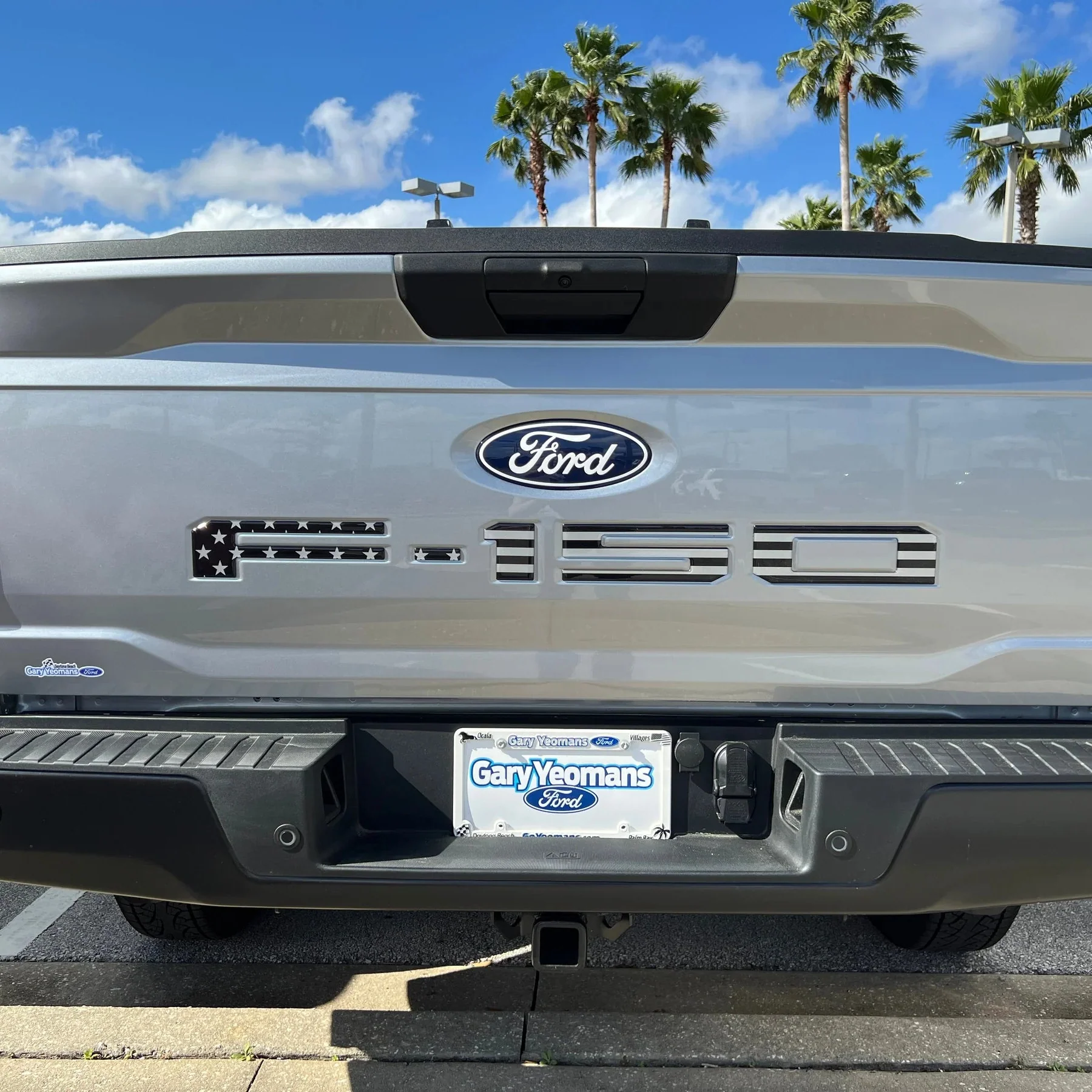 Tufskinz Rear Tailgate Letter Inserts for Ford F-150 (2021-2026) - Image 13